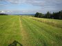 IMG_0805