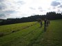 IMG_0806