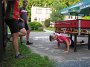 IMG_0931