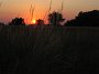 IMG_1120