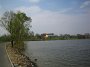 IMG_9596