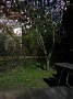 IMG_9661