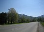 IMG_0003