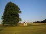 IMG_0323
