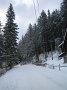 IMG_8509