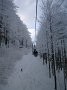 IMG_8514
