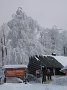 IMG_8520