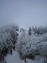 IMG_8524