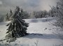 IMG_8537