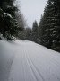 IMG_8557
