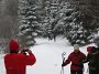 IMG_8558
