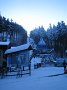 IMG_8574