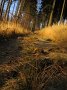 IMG_2929