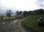 IMG_2641