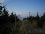 IMG_2799