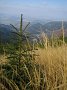 IMG_2804
