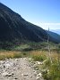 IMG_1517