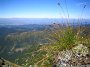 IMG_1569