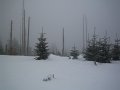 IMG_8660