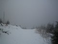 IMG_8661
