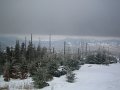 IMG_8677