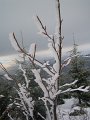 IMG_8680