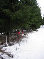 IMG_8691