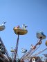 IMG_5281