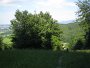 IMG_5323