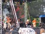 IMG_5421