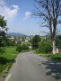 IMG_5645