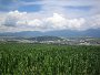 IMG_5750