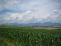 IMG_5751