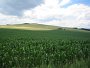 IMG_5837