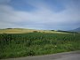 IMG_5905