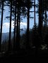 IMG_4440