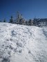 IMG_4455