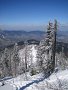 IMG_4456