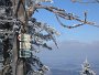 IMG_4458