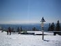 IMG_4459