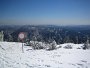 IMG_4469