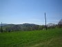 IMG_4633