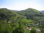 IMG_4650