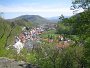 IMG_4651