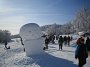 IMG_3911