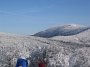 IMG_3914