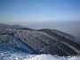 IMG_3921