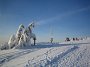 IMG_3942