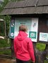 IMG_6436