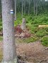 IMG_6445
